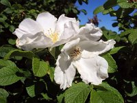 photos 2000-200902725